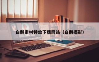 双鸭山白鹅素材特效下载网站（白鹅摄影）